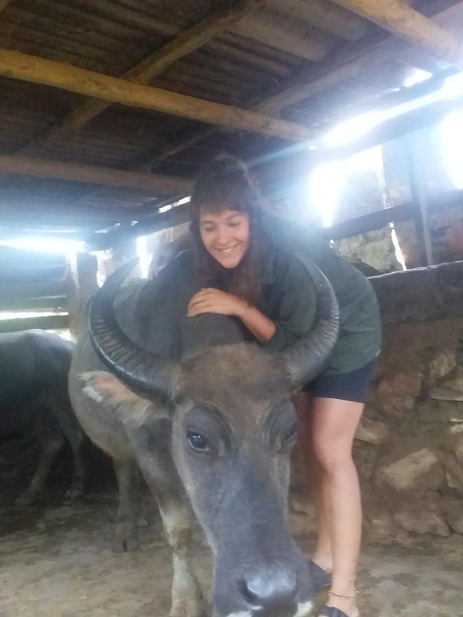 Chiende Homestay Sa Pa Ngoại thất bức ảnh